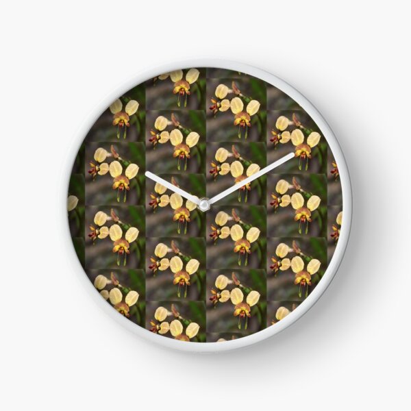 Donkey Orchid Clock