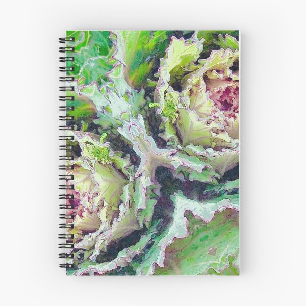 Item preview, Cabbage Rose Photographic Art (3of3) designed and sold by DzineVine.