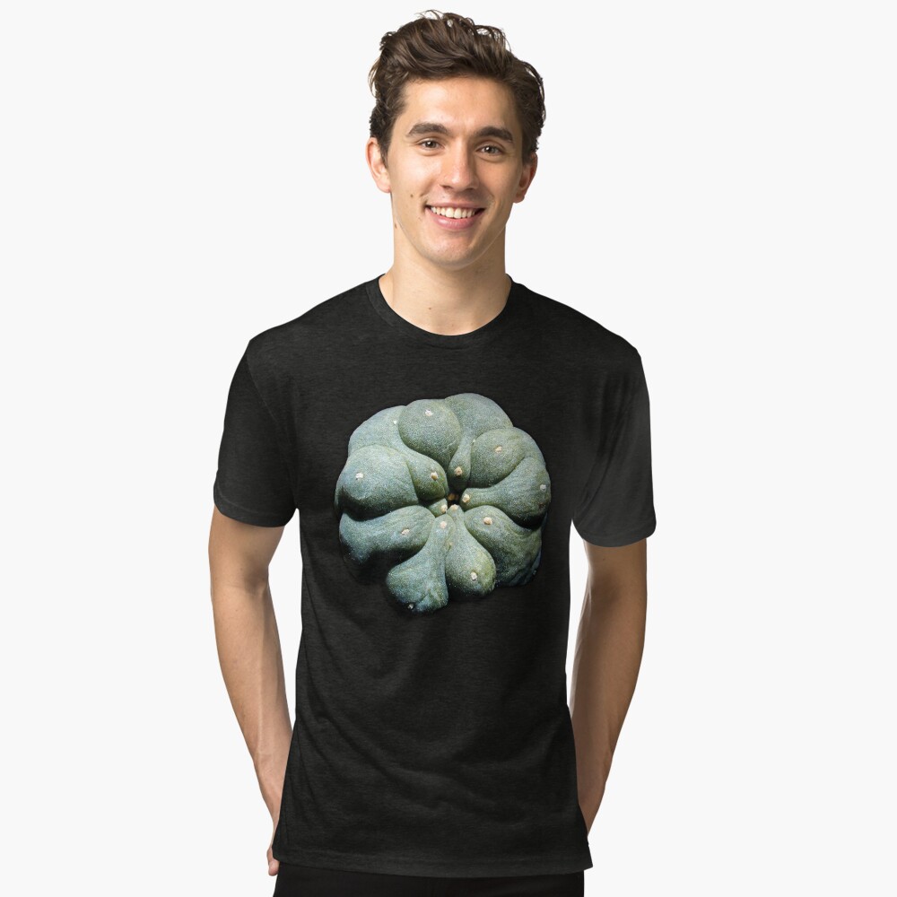Item preview, Tri-blend T-Shirt designed and sold by JHFARR.