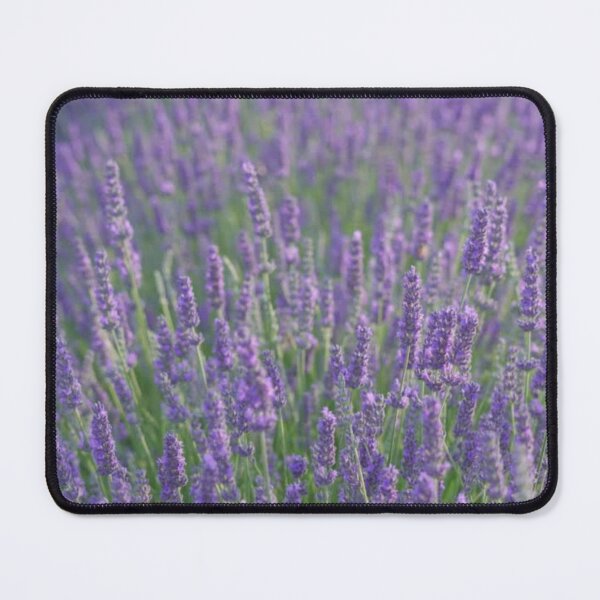 Item preview, Lavender Flowers Pattern. Cute Wild Purple Lavender Floral Botanical Garden Print designed and sold by silviaol.