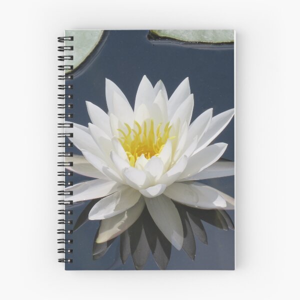 Item preview, Almost Perfect designed and sold by Rosalie Scanlon.