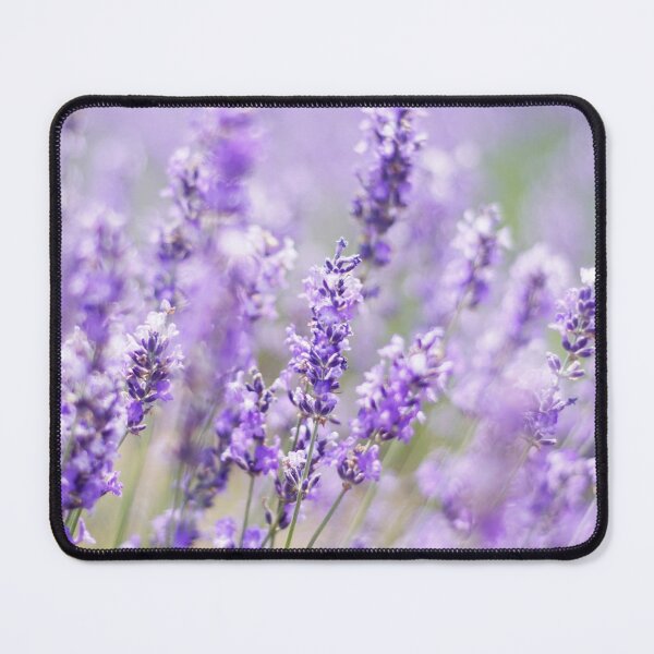 Item preview, Lavender Flowers Pattern. Cute Wild Purple Lavender Floral Botanical Garden Print designed and sold by silviaol.