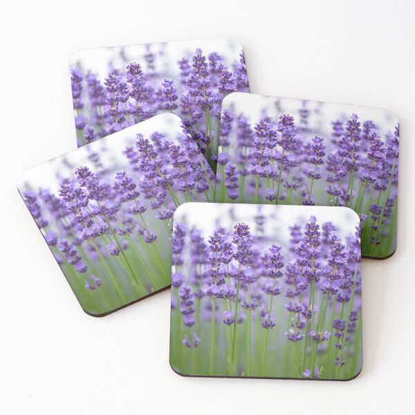 Item preview, Lavender Flowers. Cute Wild Purple Lavender Floral Botanical Garden Print designed and sold by silviaol.