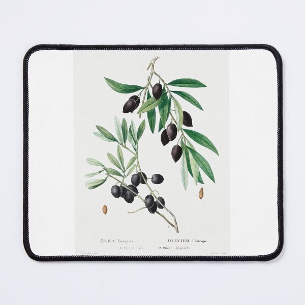 Item preview, Olives designed and sold by SweetNSourDzgns.