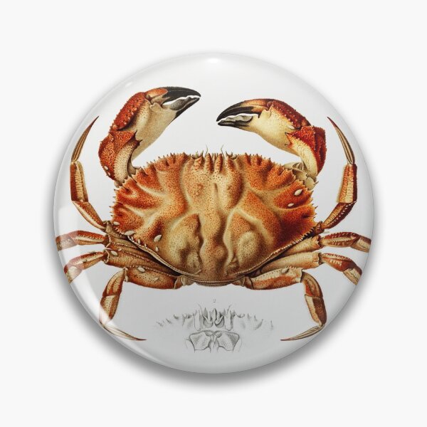 Item preview, Dungeness Crab designed and sold by SweetNSourDzgns.
