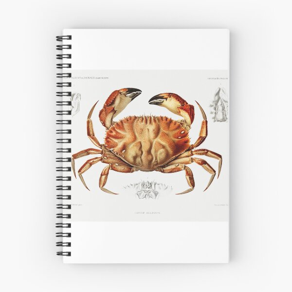 Item preview, Dungeness Crab designed and sold by SweetNSourDzgns.