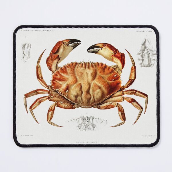Item preview, Dungeness Crab designed and sold by SweetNSourDzgns.