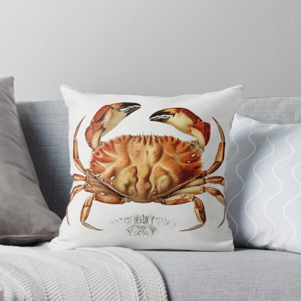 Item preview, Dungeness Crab designed and sold by SweetNSourDzgns.