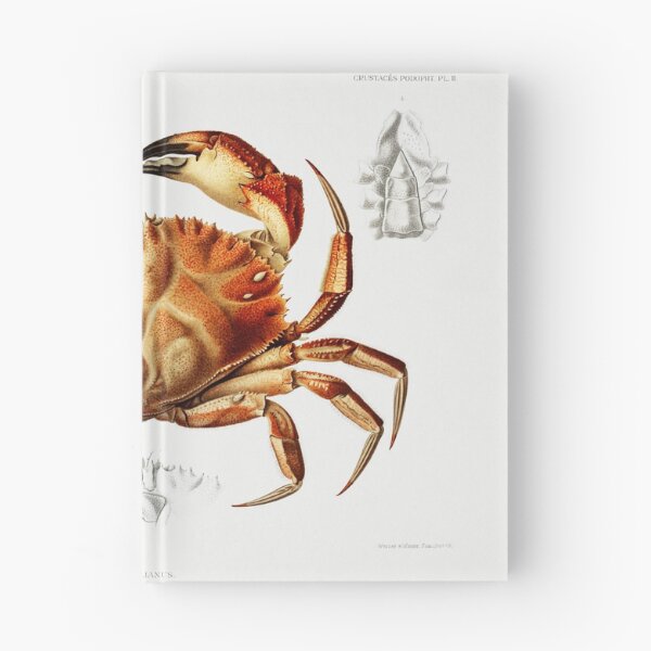 Item preview, Dungeness Crab designed and sold by SweetNSourDzgns.