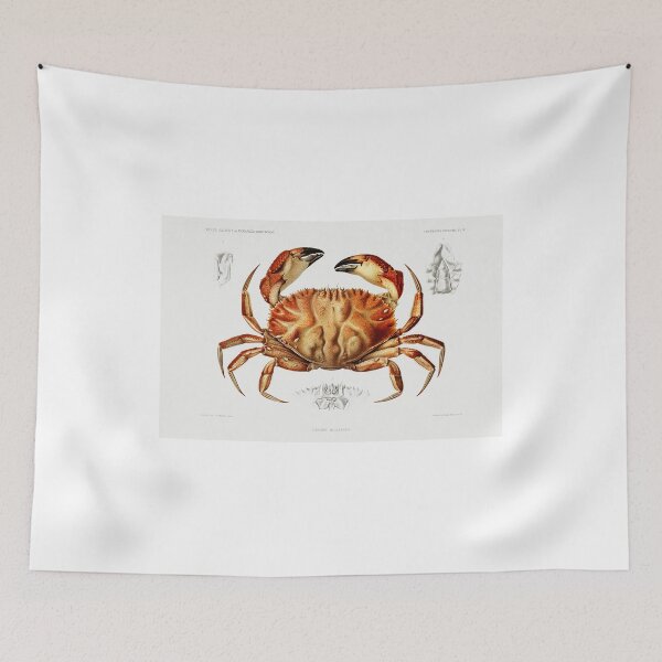 Item preview, Dungeness Crab designed and sold by SweetNSourDzgns.