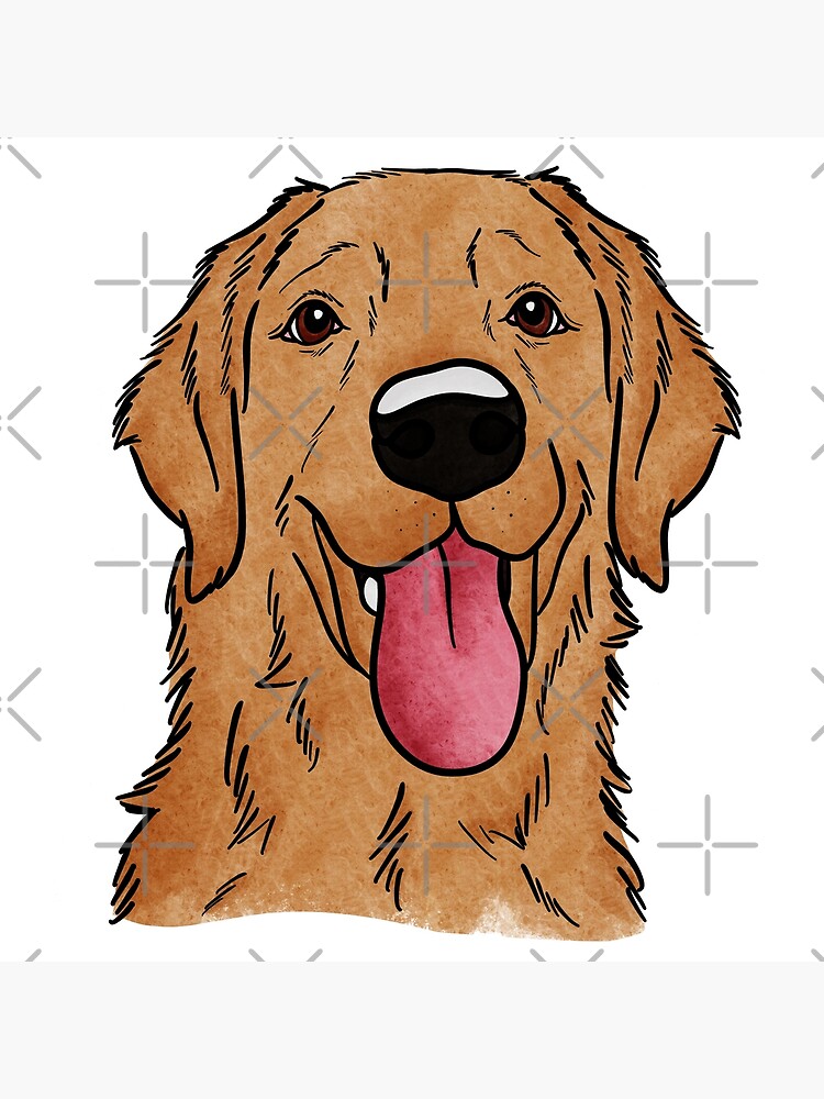 Happy Golden Retriever