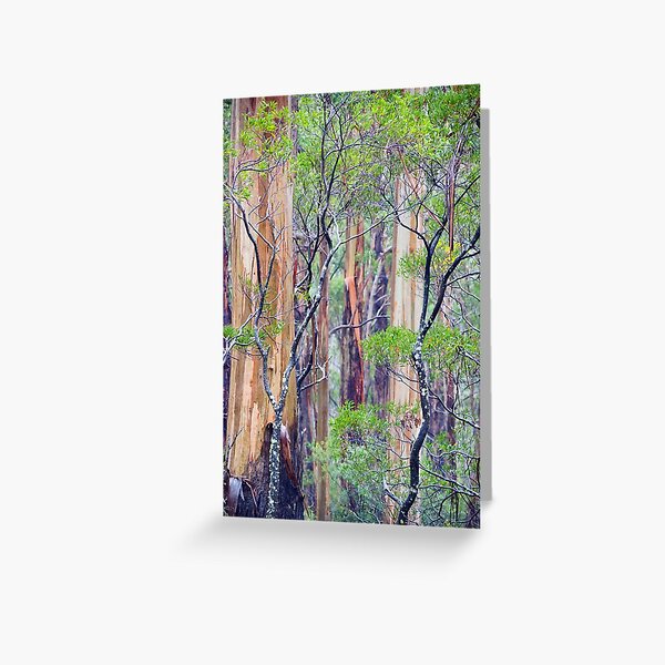 Item preview, Otways Forest designed and sold by Harry Oldmeadow.