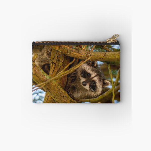 Item preview, The Raccoon designed and sold by mspixvancouver.