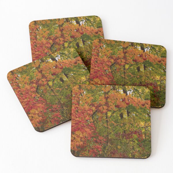 Item preview, Autumn Colours on a Lovely Sunny Day designed and sold by Gerda Grice Photography.
