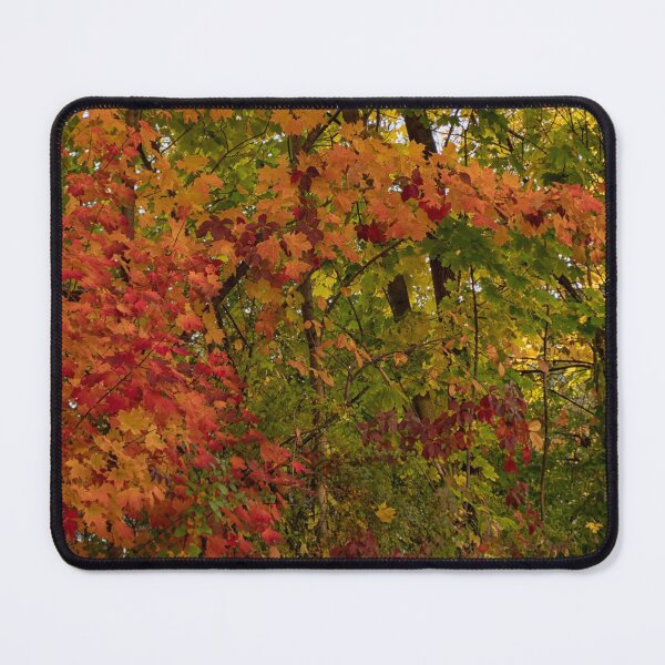 Item preview, Autumn Colours on a Lovely Sunny Day designed and sold by Gerda Grice Photography.