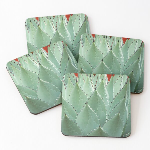 Item preview, Agave Cactus (pre-tequila) designed and sold by William E Lopez.