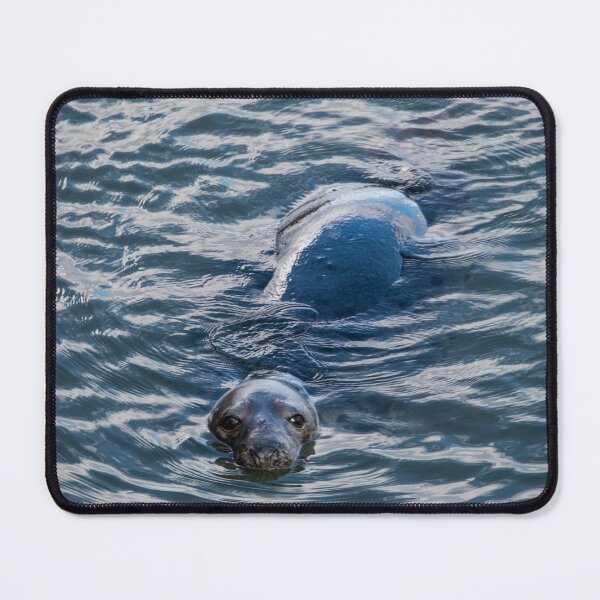Item preview, the little curios seal designed and sold by JoeEJackson.