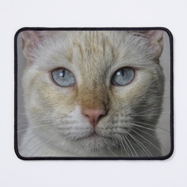 Item preview, Portrait of a Cute Red Point Siamese Cat designed and sold by Elisabeth Lucas.