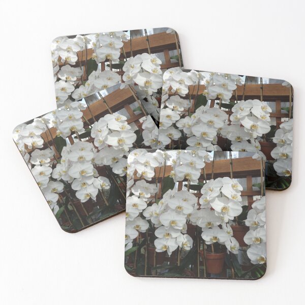 Item preview, White Moth Orchids designed and sold by GardenArtworks.
