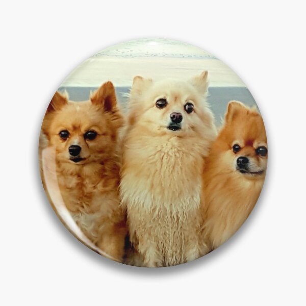 Item preview, POMERANIAN AT THE BEACH designed and sold by Steffi August.