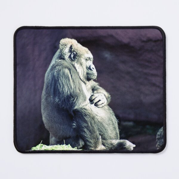 Item preview, Gorilla in the Sun designed and sold by Blackadder Photography.