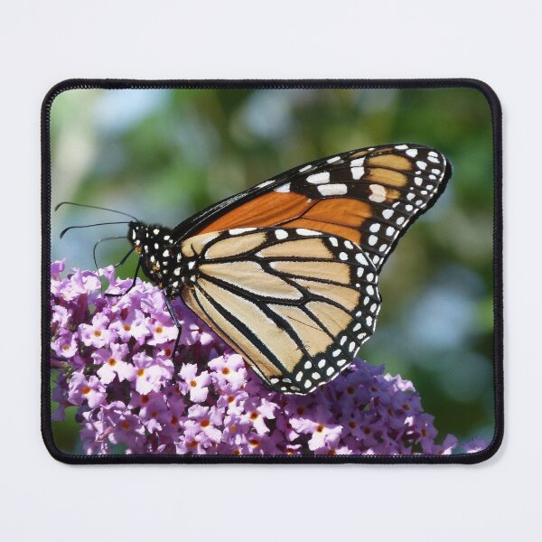 Item preview, Magnificent Monarch designed and sold by Trish Meyer.
