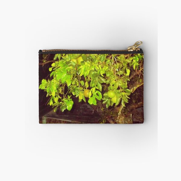 Item preview, Green Oranges at night in an old tree by Haunted House designed and sold by alan barbour.