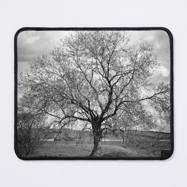 Item preview, Avebury tree designed and sold by Karen E Camilleri.