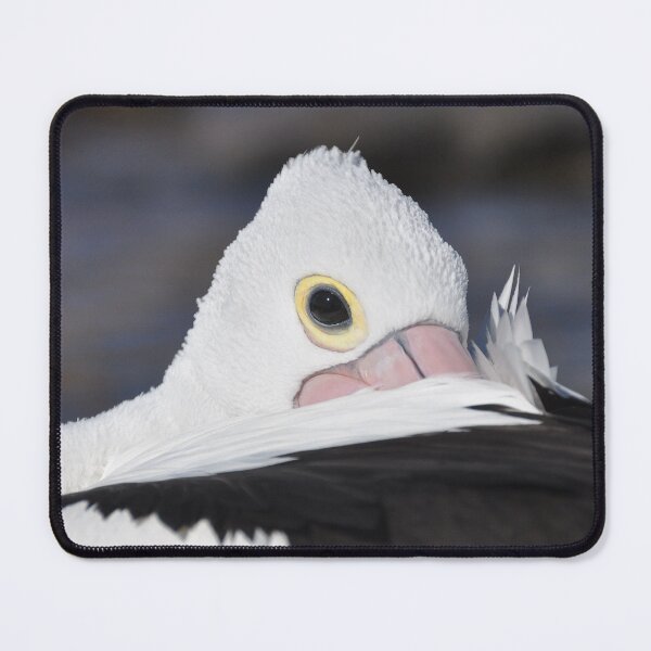 Item preview, Peeping Pelican designed and sold by mappy1.