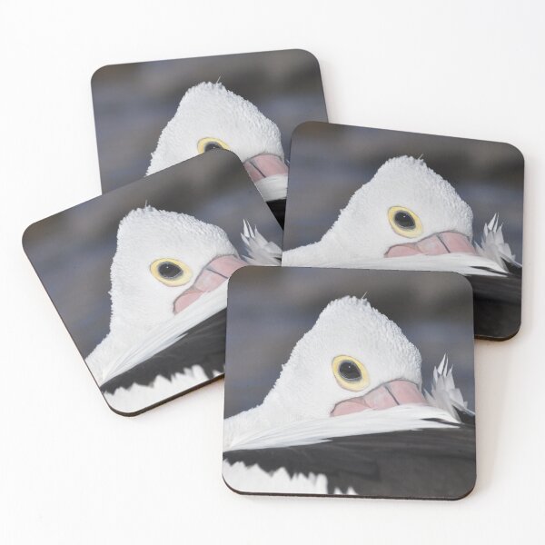 Item preview, Peeping Pelican designed and sold by mappy1.