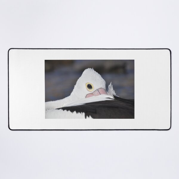 Item preview, Peeping Pelican designed and sold by mappy1.
