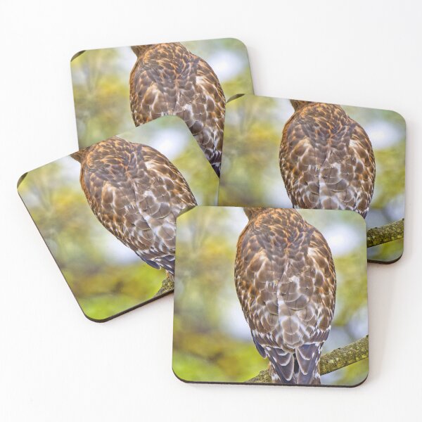 Item preview, Sharp Shinned Hawk designed and sold by AMacGPhilly.