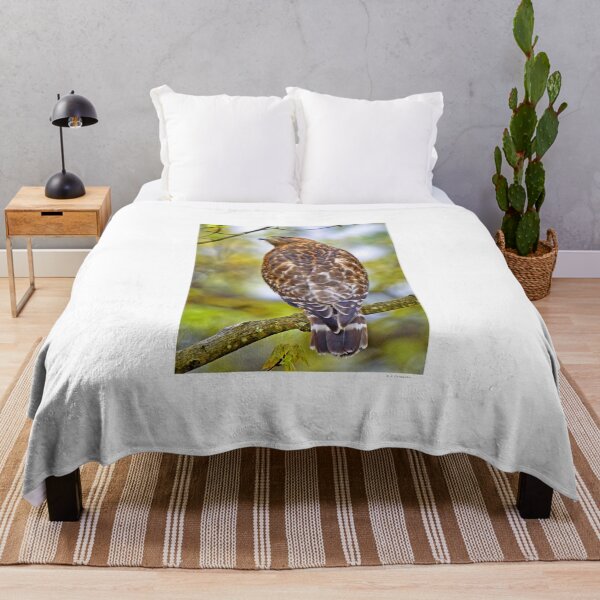Item preview, Sharp Shinned Hawk designed and sold by AMacGPhilly.