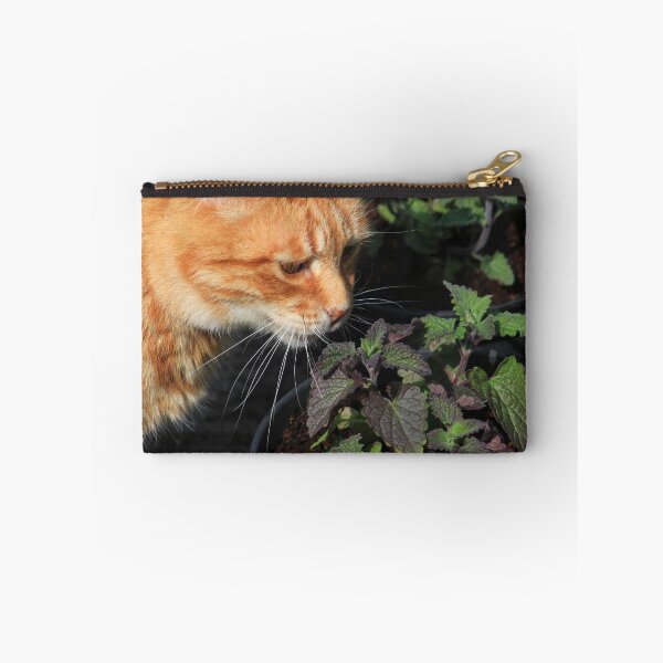 Item preview, Ginger cat sniffing catnip plant designed and sold by turniptowers.