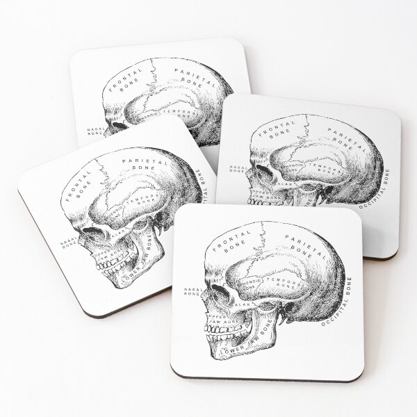 Anatomy Skull Coasters (Set of 4)