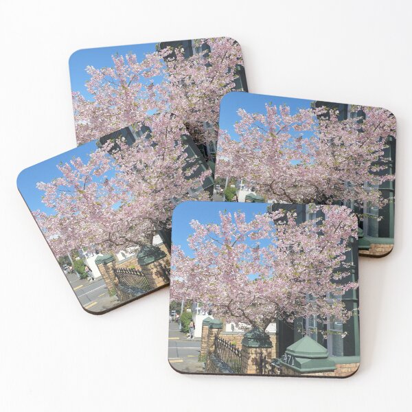Item preview, Cherry Blossom in the Street  designed and sold by languagetees.