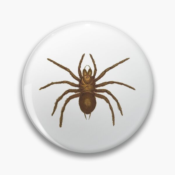 Item preview, Goliath Bird Eating Spider 1820 designed and sold by BelleZeare.