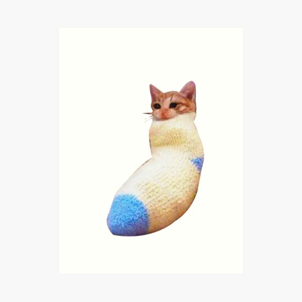 "sadcat crying cat in sock meme" Art Print for Sale by therustyart