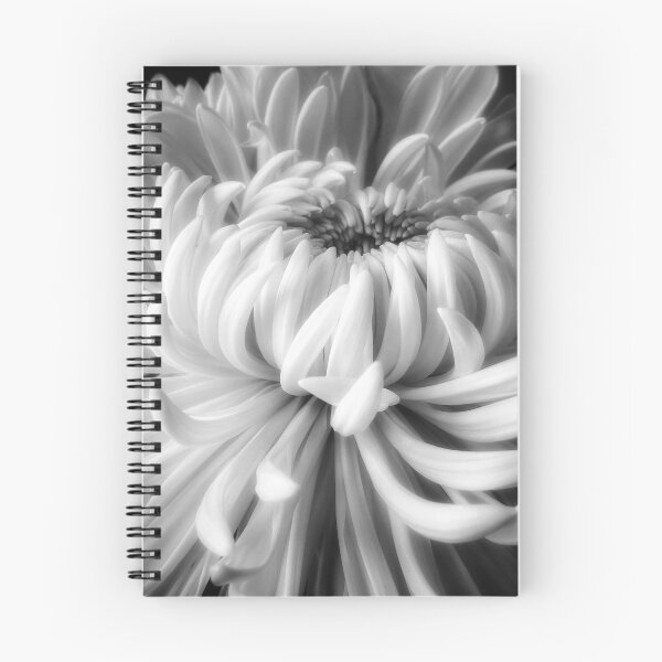 Item preview, Layers designed and sold by shutterbug2010.