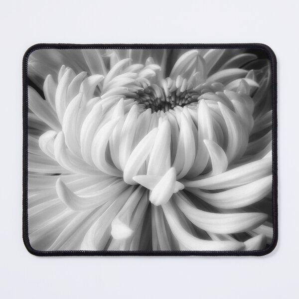 Item preview, Layers designed and sold by shutterbug2010.