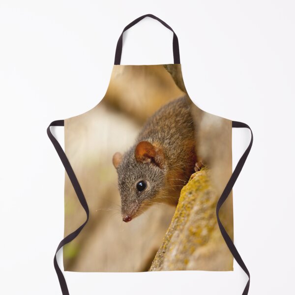 Item preview, Off The Wall designed and sold by CBoyle.