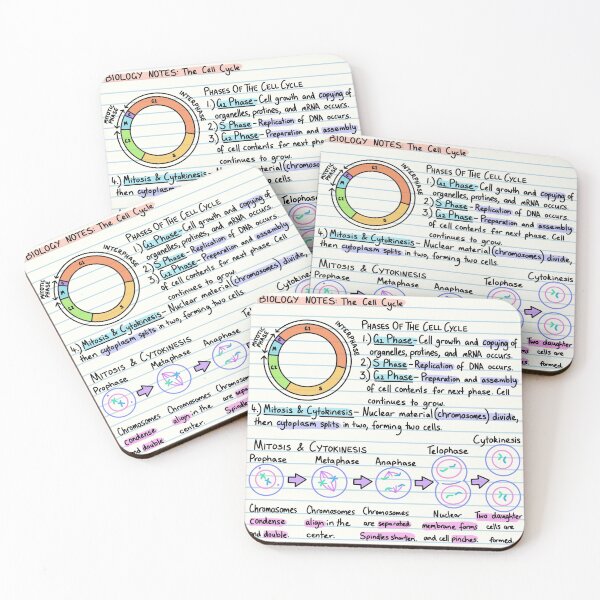 Item preview, Biology Notes - The Cell Cycle designed and sold by BundaBear.