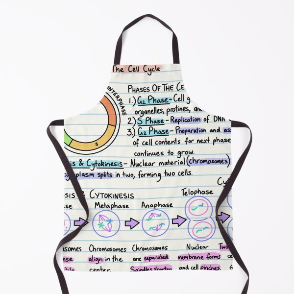 Item preview, Biology Notes - The Cell Cycle designed and sold by BundaBear.