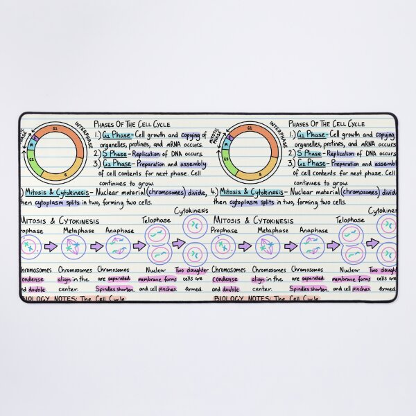 Item preview, Biology Notes - The Cell Cycle designed and sold by BundaBear.