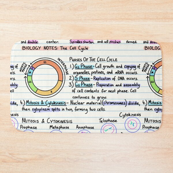 Item preview, Biology Notes - The Cell Cycle designed and sold by BundaBear.