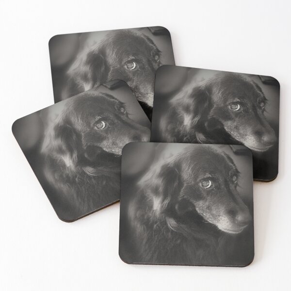 Item preview, Really?  That Look Dogs Give designed and sold by Happykale.