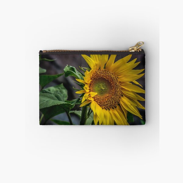 Item preview, Helianthus  designed and sold by RGKphotos.