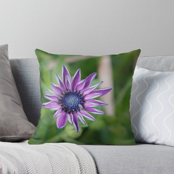 Item preview, African Daisy designed and sold by RGKphotos.