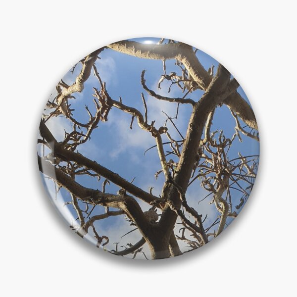 Item preview, Tree Branches with Blue Sky in Background designed and sold by Bennymp.