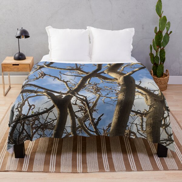 Item preview, Tree Branches with Blue Sky in Background designed and sold by Bennymp.